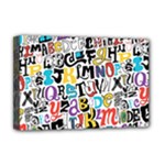 Alpha Pattern Deluxe Canvas 18  x 12  (Stretched)