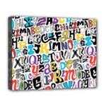 Alpha Pattern Deluxe Canvas 20  x 16  (Stretched)