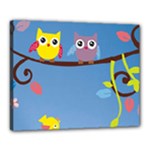 Animal Bird Cartoon Canvas 20  x 16  (Stretched)