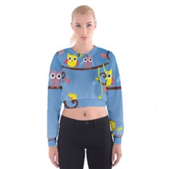 Cropped Sweatshirt 