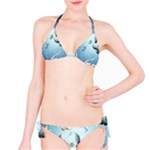 Animated Nature Wallpaper Animated Bird Bikini Set
