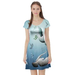 Short Sleeve Skater Dress Front Short Sleeve Skater Dress Front