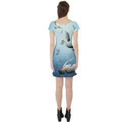 Short Sleeve Skater Dress Back Short Sleeve Skater Dress Back
