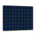 Deluxe Canvas 20  x 16  (Stretched) 