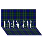 MacNeil of Colonsay Tartan BEST SIS 3D Greeting Card (8x4)