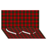 MacDuff Tartan Twin Heart Bottom 3D Greeting Card (8x4)