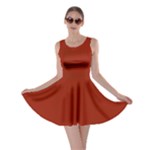 MacNab Tartan Skater Dress