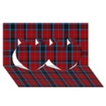 MacTavish Tartan Twin Hearts 3D Greeting Card (8x4)
