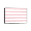 Mini Canvas 6  x 4  (Stretched) 