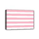 Mini Canvas 6  x 4  (Stretched) 