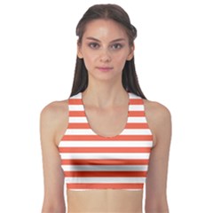 Fitness Sports Bra 