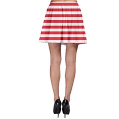 Skater Skirt 