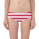 Horizontal Stripes - White and Alizarin Red Classic Bikini Bottoms