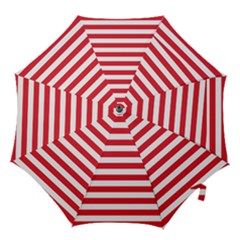 Hook Handle Umbrella (Large) 
