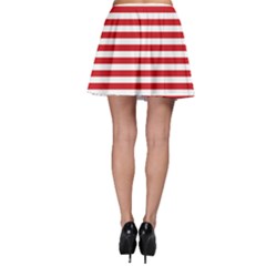 Skater Skirt 