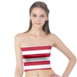 Horizontal Stripes - White and Cardinal Red Tube Top