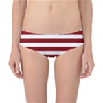 Horizontal Stripes - White and Dark Red Classic Bikini Bottoms
