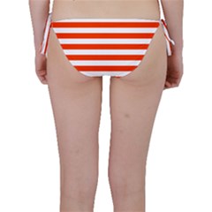 Bikini Bottoms 