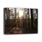 Forest - Pa Grand Canyon ~Leo Harris St Park by Ave Hurley - Deluxe Canvas 16  x 12  (Stretched) 