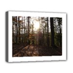 Forest - Pa Grand Canyon ~Leo Harris St Park by Ave Hurley - Deluxe Canvas 20  x 16  (Stretched)