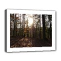 Deluxe Canvas 20  x 16  (Stretched) 