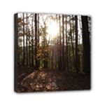 Forest - Pa Grand Canyon ~Leo Harris St Park by Ave Hurley - Mini Canvas 6  x 6  (Stretched)