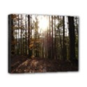 Canvas 10  x 8  (Stretched) 
