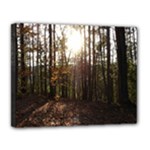 Forest - Pa Grand Canyon ~Leo Harris St Park by Ave Hurley - Canvas 14  x 11  (Stretched)