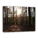 Canvas 16  x 12  (Stretched) 