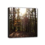 Forest - Pa Grand Canyon ~Leo Harris St Park by Ave Hurley - Mini Canvas 4  x 4  (Stretched)