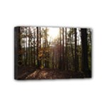 Forest - Pa Grand Canyon ~Leo Harris St Park by Ave Hurley - Mini Canvas 6  x 4  (Stretched)