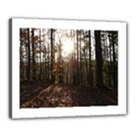 Forest - Pa Grand Canyon ~Leo Harris St Park by Ave Hurley - Canvas 20  x 16  (Stretched)