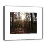 Forest - Pa Grand Canyon ~Leo Harris St Park by Ave Hurley - Deluxe Canvas 24  x 20  (Stretched)