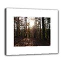 Deluxe Canvas 24  x 20  (Stretched) 