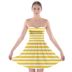 Strapless Bra Top Dress 