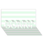 Horizontal Stripes - White and Pale Green SORRY 3D Greeting Card (8x4)