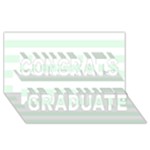 Horizontal Stripes - White and Pale Green Congrats Graduate 3D Greeting Card (8x4)