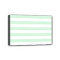 Mini Canvas 6  x 4  (Stretched) 