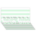 Horizontal Stripes - White and Pastel Green BEST BRO 3D Greeting Card (8x4)