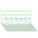 Horizontal Stripes - White and Pastel Green SORRY 3D Greeting Card (8x4)