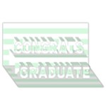 Horizontal Stripes - White and Pastel Green Congrats Graduate 3D Greeting Card (8x4)