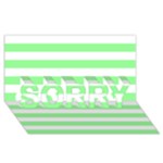 Horizontal Stripes - White and Light Green SORRY 3D Greeting Card (8x4)