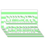 Horizontal Stripes - White and Light Green Congrats Graduate 3D Greeting Card (8x4)