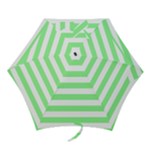 Horizontal Stripes - White and Light Green Mini Umbrella
