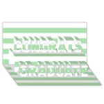 Horizontal Stripes - White and Celadon Green Congrats Graduate 3D Greeting Card (8x4)