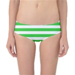 Horizontal Stripes - White and Lime Green Classic Bikini Bottoms