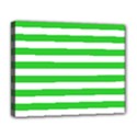 Deluxe Canvas 20  x 16  (Stretched) 
