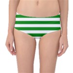 Horizontal Stripes - White and Green Mid-Waist Bikini Bottoms