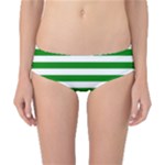 Horizontal Stripes - White and Green Classic Bikini Bottoms
