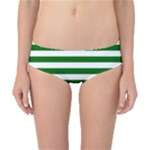 Horizontal Stripes - White and Dark Green Classic Bikini Bottoms